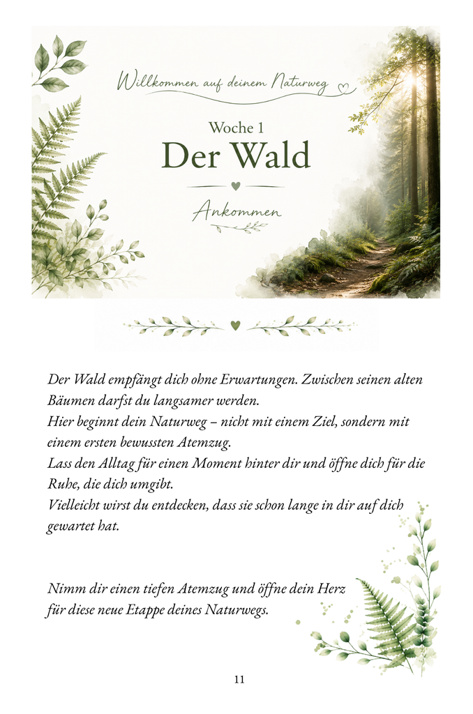 buch - beispielseite